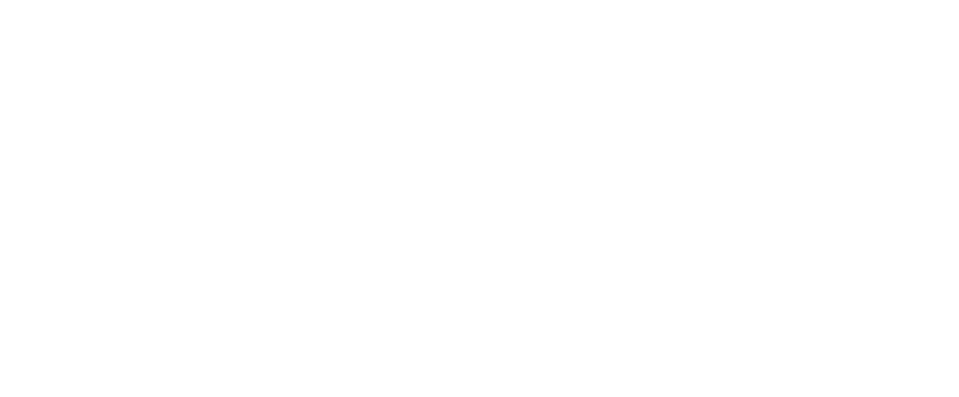 Viva Partner