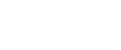 Viva Partner